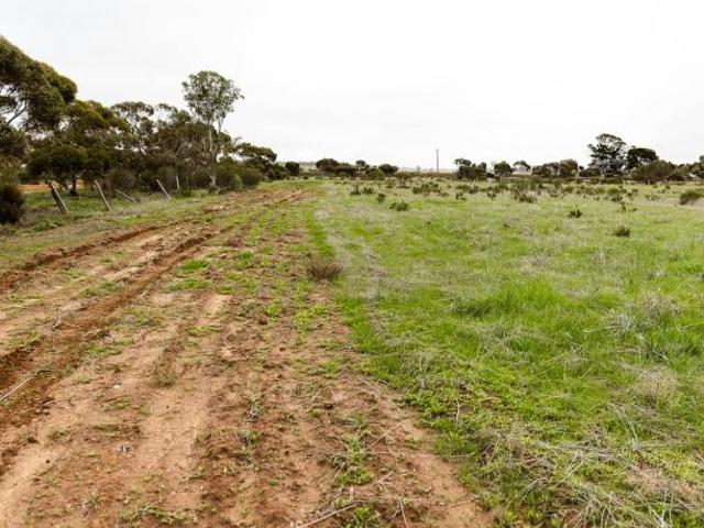 Land for sale in Merredin, Shire Of Merredin