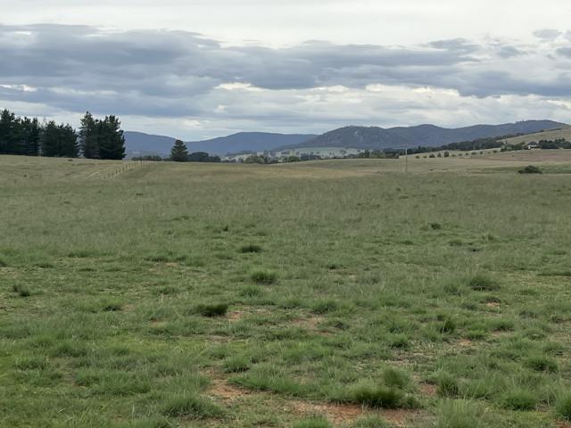 Land for sale in Michelago, New South Wales