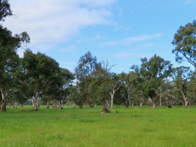 Land for rent in Comaum, South Australia