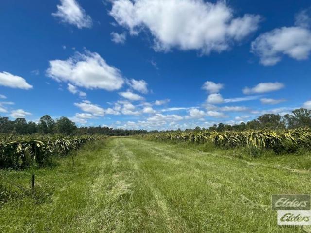 Land for sale in Munna Creek, Fraser Coast Regional
