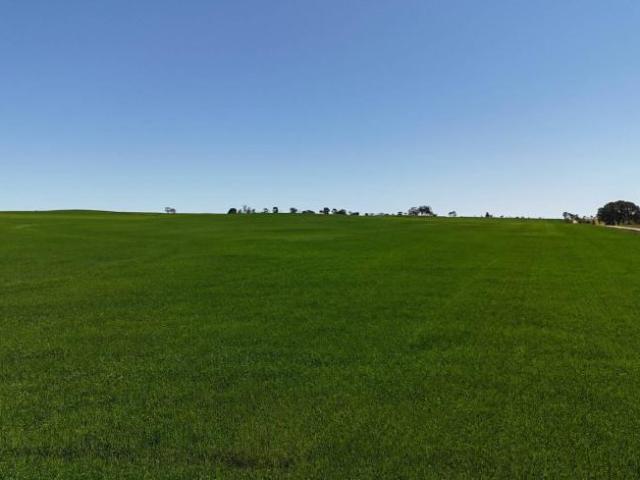 Land for sale in Murray Town, South Australia
