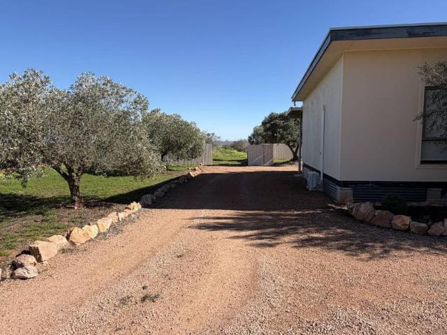 Land for sale in Napperby, Port Pirie Regional Council