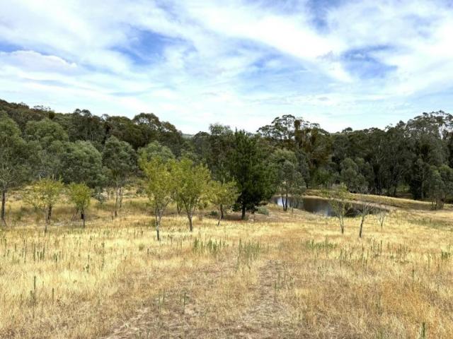Land for sale in Neville, Blayney Shire Council