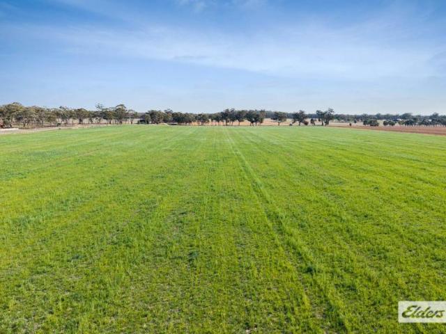 Land for sale in Newbridge, Shire of Loddon