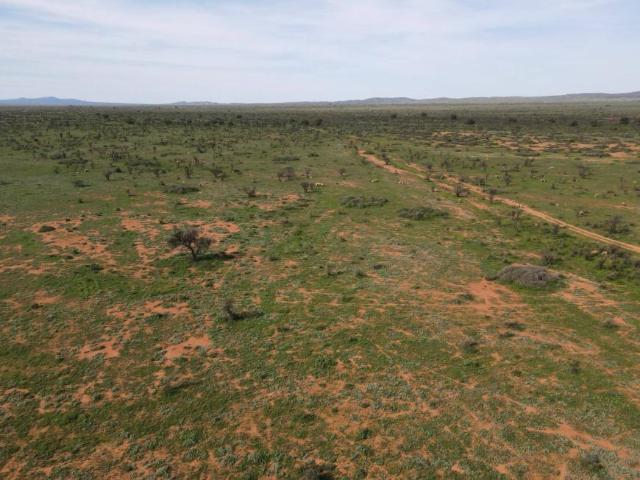 Land for sale in Orroroo, South Australia