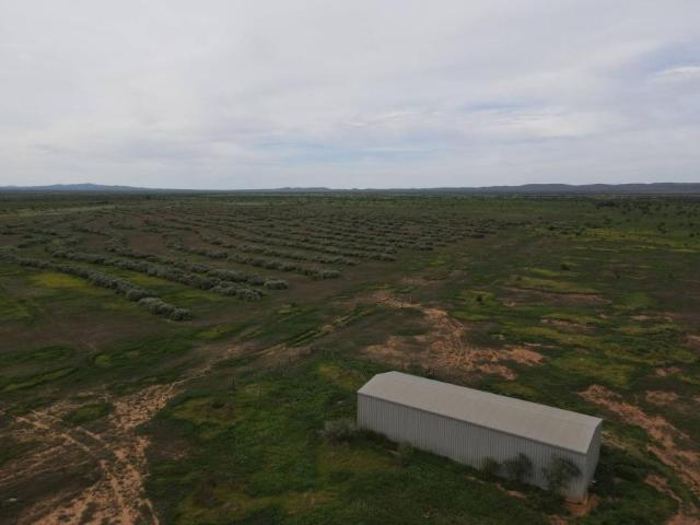 Land for sale in Orroroo, South Australia