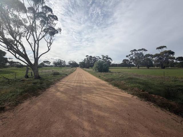 Land for sale in Owen, South Australia
