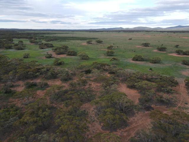 Land for sale in Parnaroo, South Australia