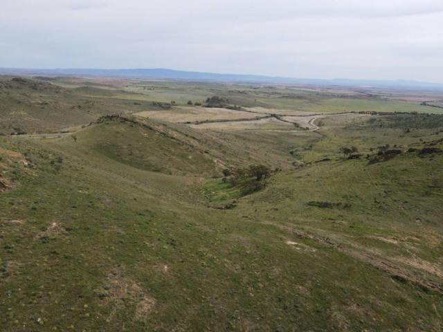 Land for sale in Pekina, South Australia
