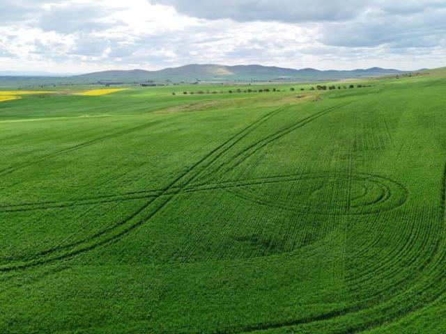 Land for sale in Pekina, The District Council of Orroroo Carrieton