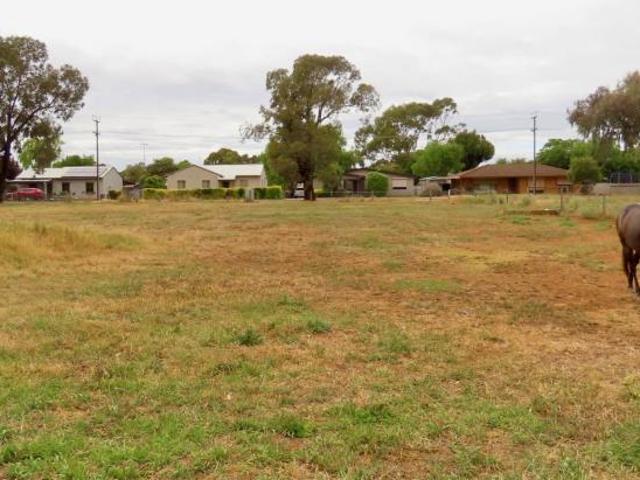 Land for rent in Comaum, South Australia