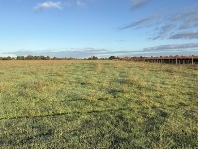 Land for rent in Comaum, South Australia