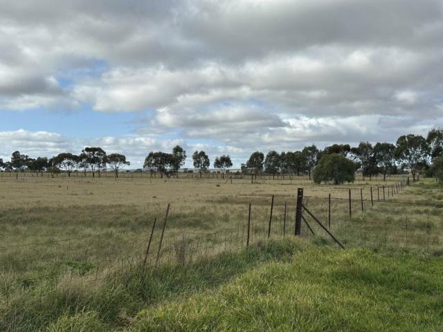 Land for sale in Minvalara, South Australia