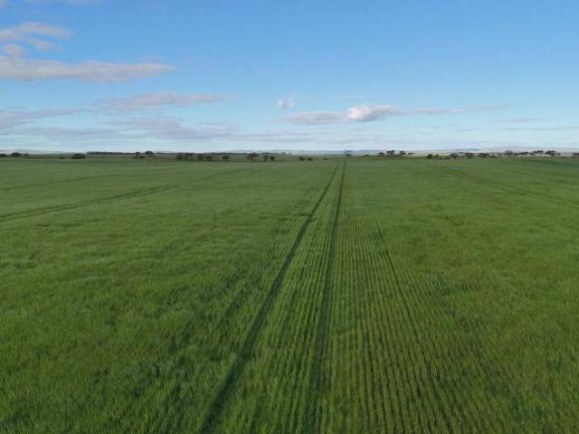 Land for sale in Port Broughton, Barunga West Council