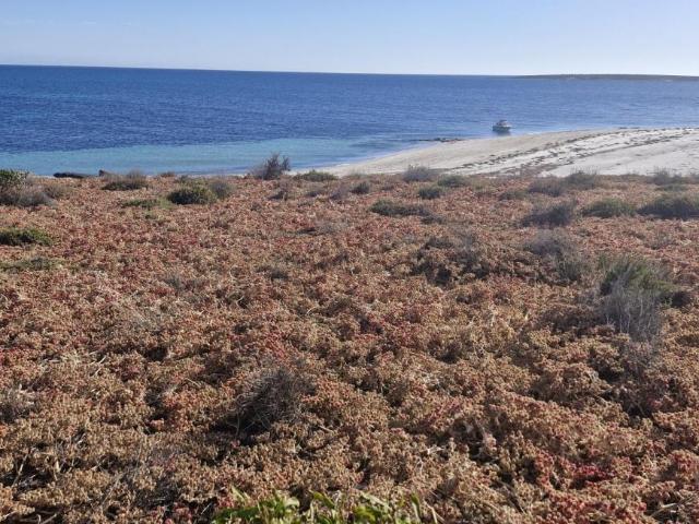 Land for sale in Port Lincoln, South Australia
