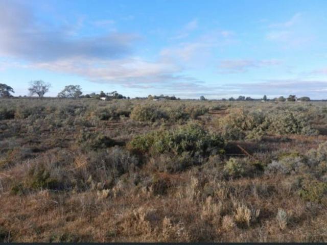 Land for sale in Renmark, Renmark Paringa Council
