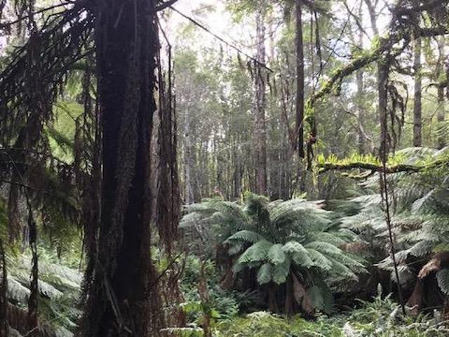 Land for sale in Rosebery, Tasmania