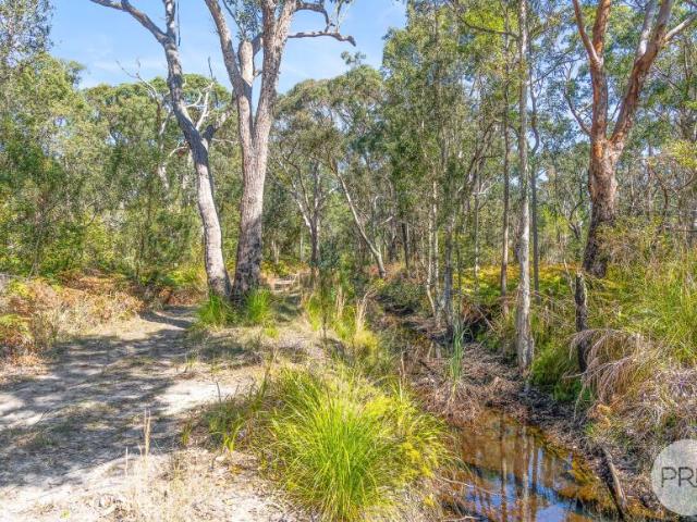 Land for sale in Salt Ash, Port Stephens Council