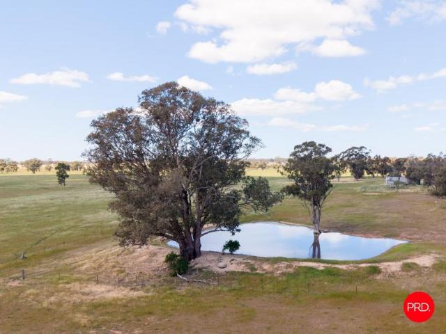 Land for sale in Sebastian