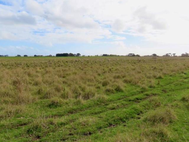 Land for rent in Tantanoola, South Australia