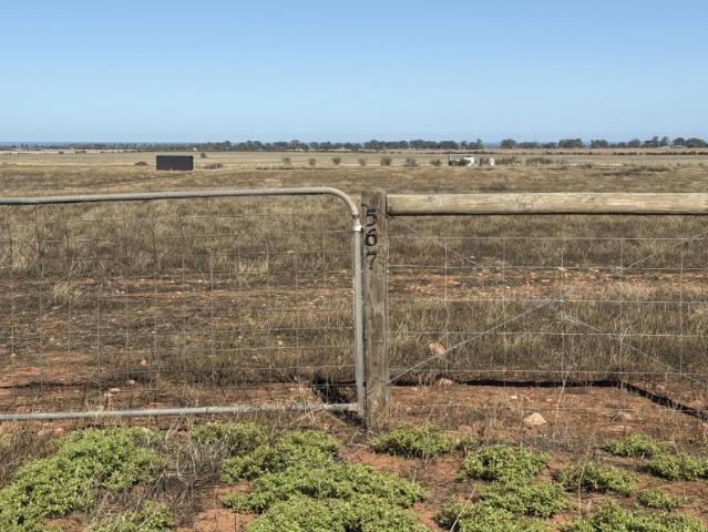 Land for sale in Telowie, South Australia