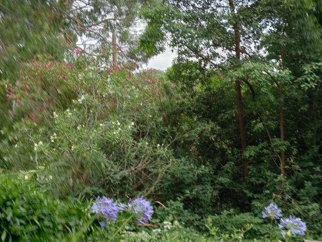 Land for sale in Camerons Creek, Victoria