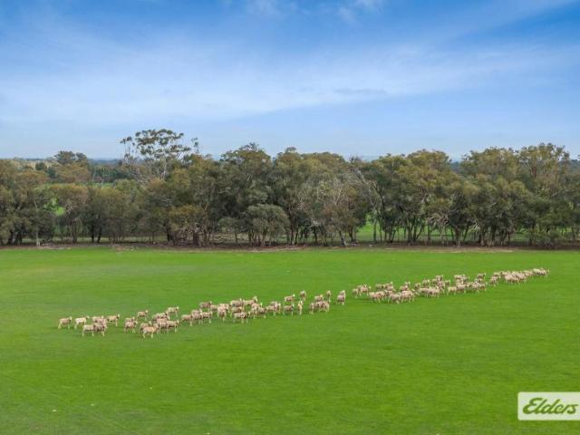 Land for sale in Toolleen, Shire of Campaspe