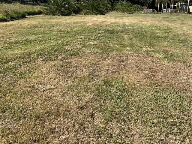 Land for sale in Toombul, Queensland