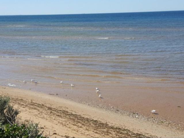 Land for sale in Camerons Creek, Victoria