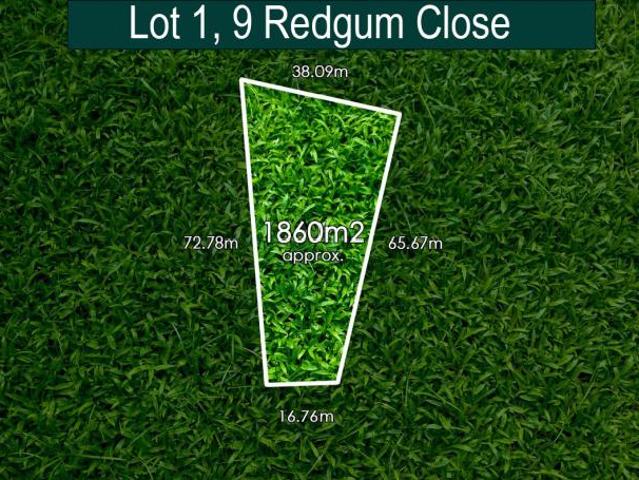Land for sale in Camerons Creek, Victoria