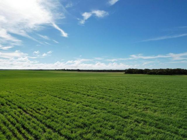 Land for sale in White Hut, Yorke Peninsula Council