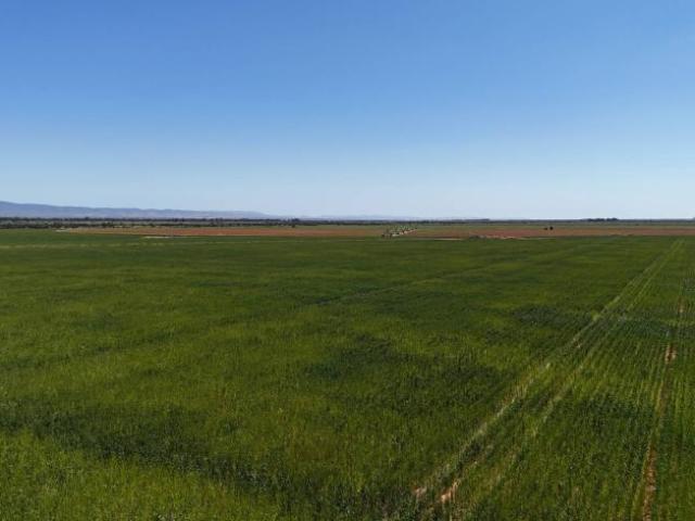Land for sale in Wilmington, The District Council of Mount Remarkable