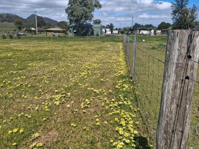 Land for sale in Wingen, Upper Hunter Shire Council