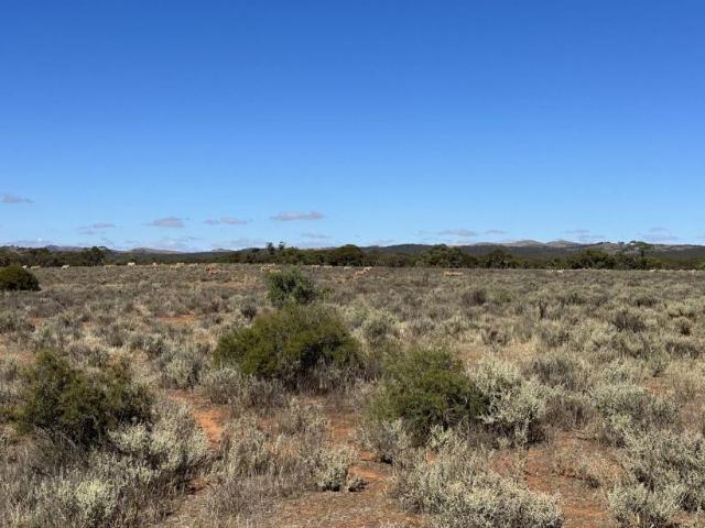 Land for sale in Goyder, South Australia