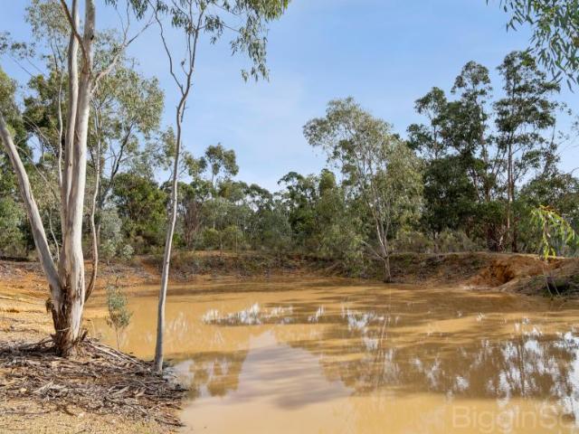 Land for sale in Yandoit, Victoria
