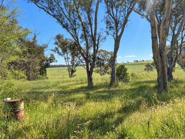 Land for sale in Yeoval, Cabonne Council