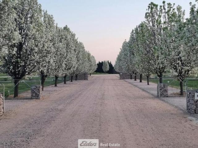 Land for sale in Griffith, Griffith City Council