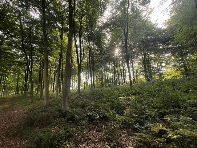 Land for sale in Oswestry, Shropshire