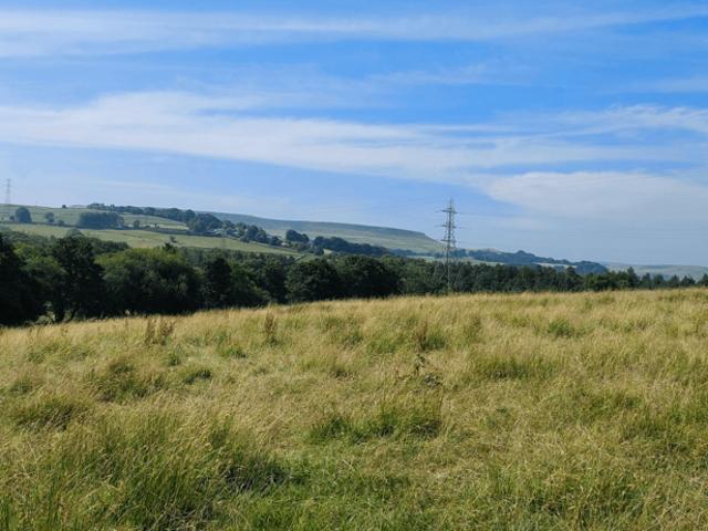Land for sale in Wash, Charlesworth