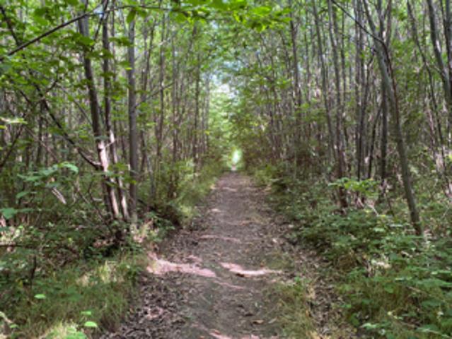 Land for sale in Bourne Vale, Kent