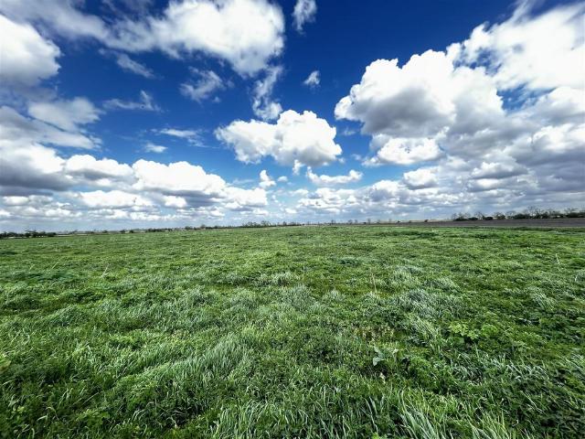 Land for sale in Barway, Cambridgeshire