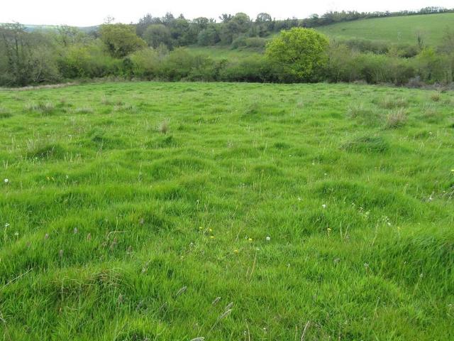 Land for sale in Strode, Devon