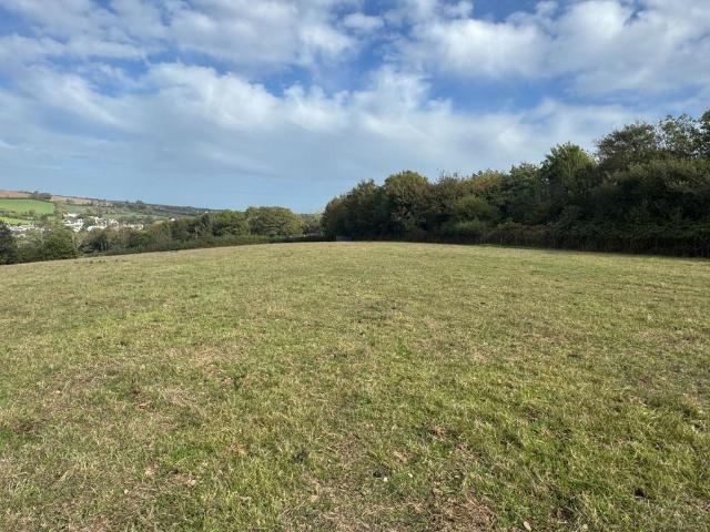 Land for sale in Chillington, South Hams