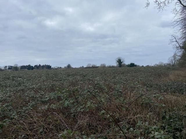 Land for sale in Chedburgh, Suffolk