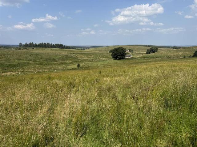 Land for sale in Northumberland