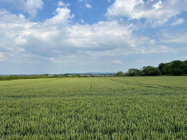 Land for sale in North Yorkshire