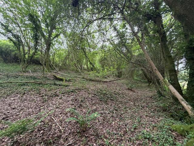 Land for sale in Tideford Cross, Cornwall