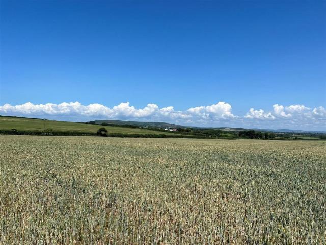 Land for sale in Scurlage, Wales