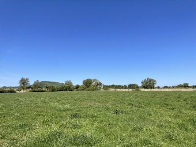 Land for sale in Mark, Brent Knoll