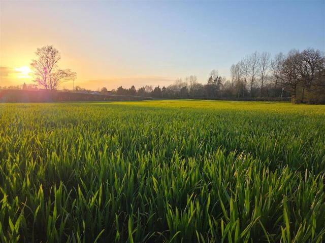 Land for sale in Pontesbury, Longden